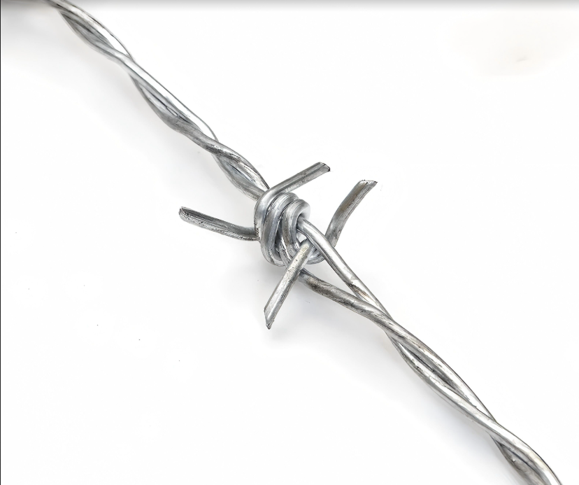 Galvanized Barbed Wire for Long-Distance Boundary Fencing